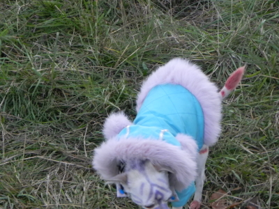 Мото вторжениее Фрязино