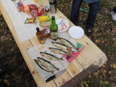 Мото вторжениее Фрязино