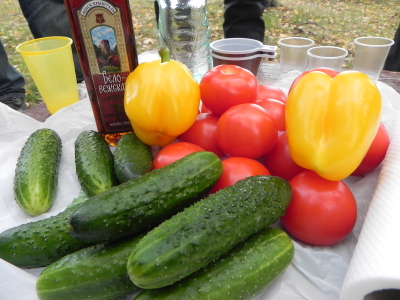 Мото вторжениее Фрязино