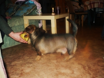 зимний сбор 2011